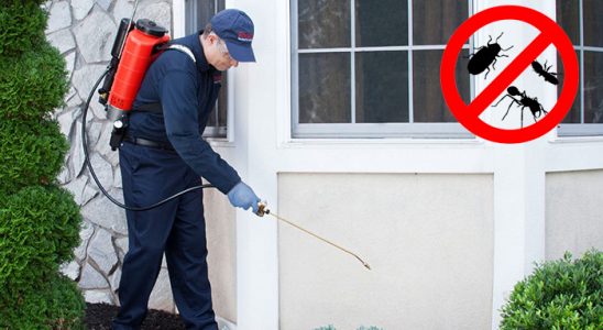 Mudanya Karınca İlaçlama böcek ilaçlama ve haşere kontrolü — ilaclama-tr.com